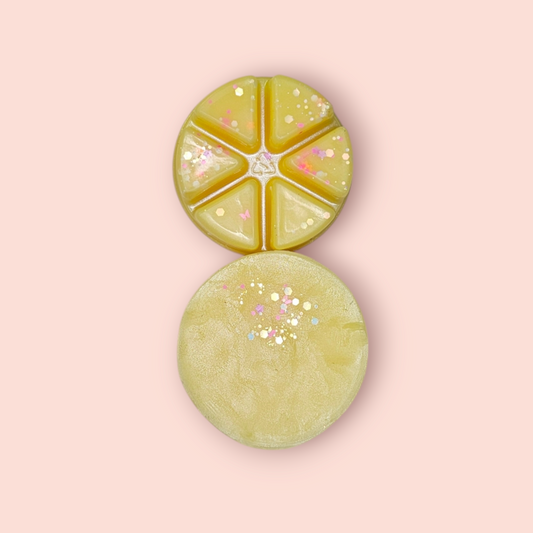 Fizzy Whizz Wax Melt Pot